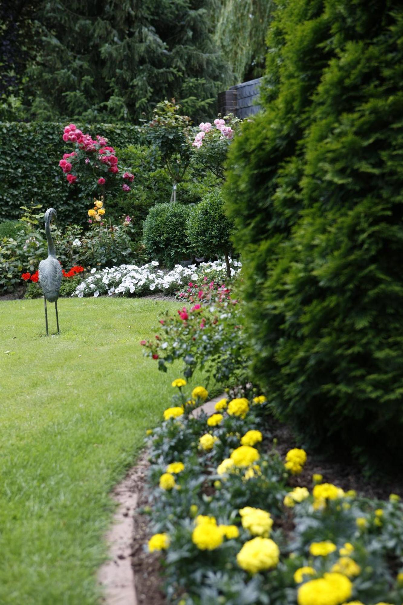 Pension Haus Wernemann Hotell Bad Rothenfelde Exteriör bild