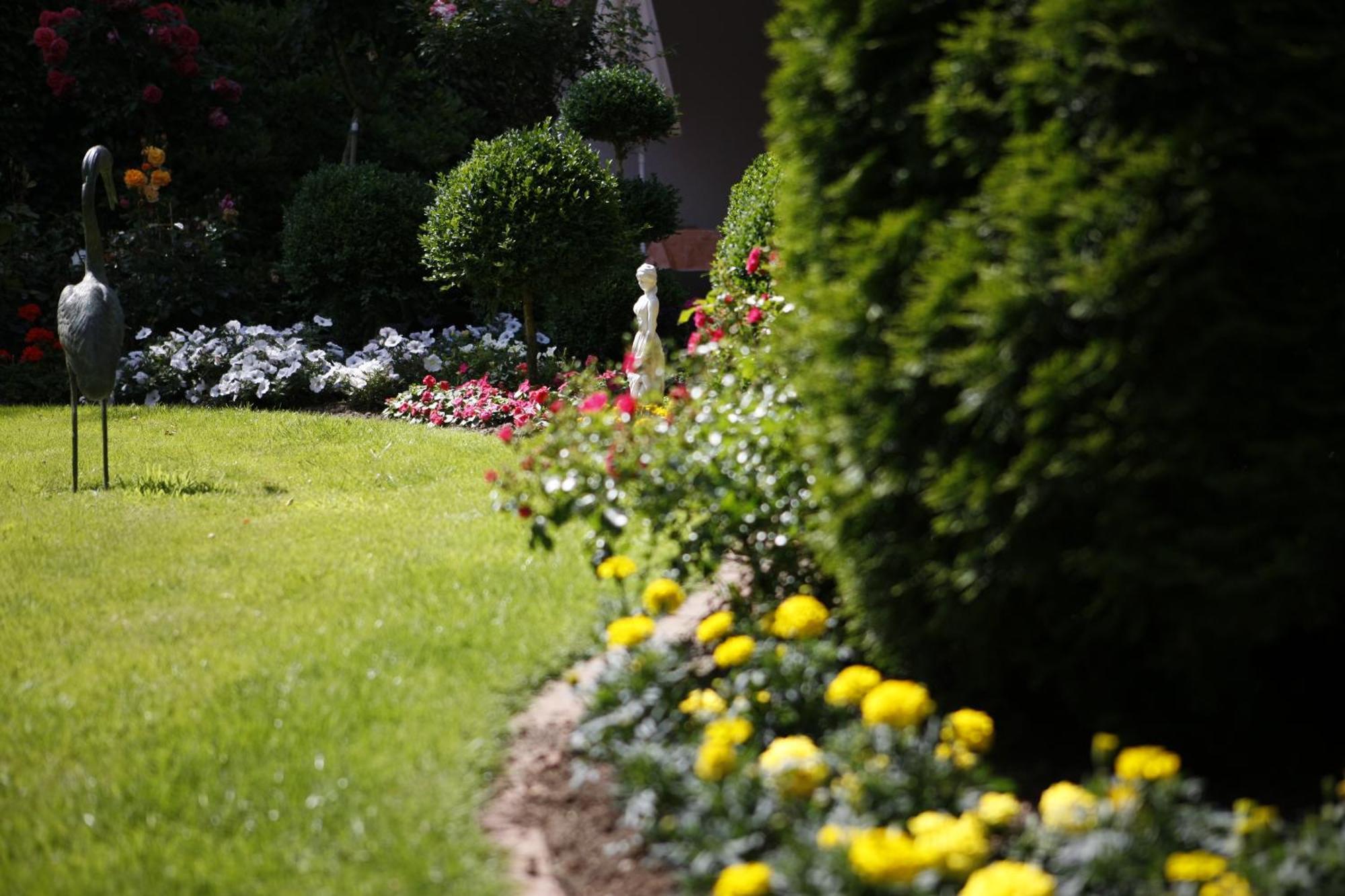 Pension Haus Wernemann Hotell Bad Rothenfelde Exteriör bild